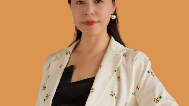 上海vi模板定制报价