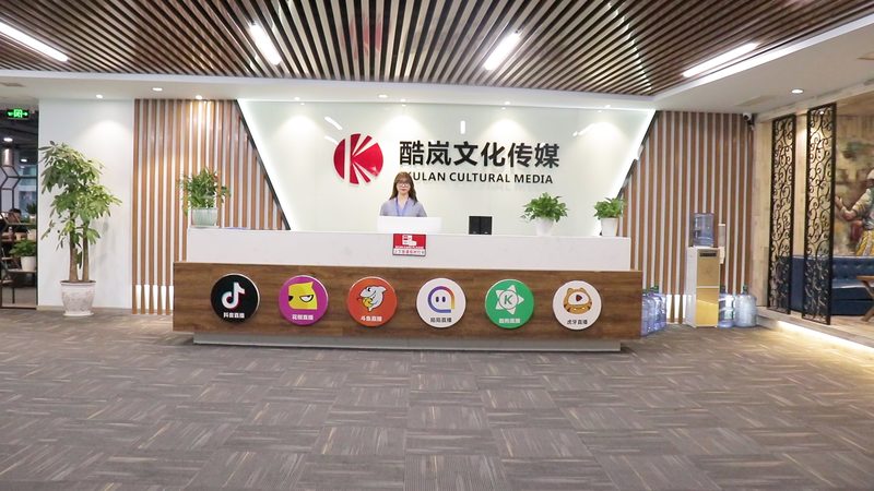 直播代运营，2025年价格表背后的行业洞察