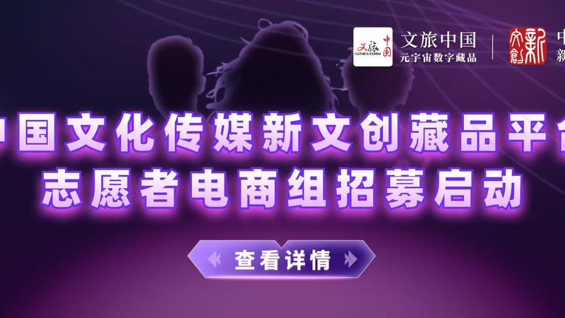 选型逻辑：了解不同类型的产品视频